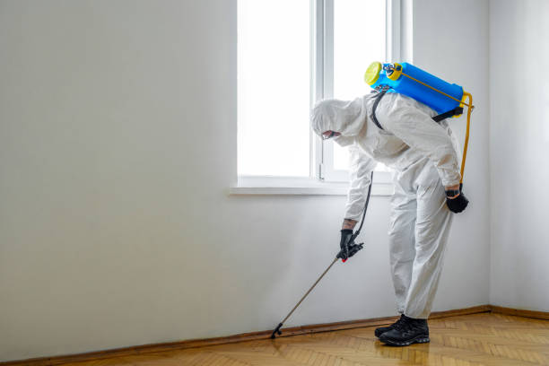 Emergency Pest Control Services in Passaic, NJ